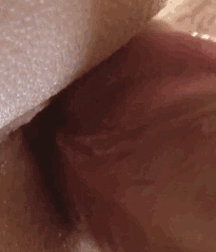 Sexy Boys - 138 5c93d4a6726c4.gif
