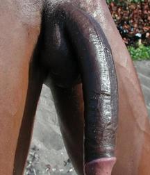Sexy Boys - 255 5d519f76b4952.jpg