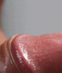 Hoodies 5e256d2fd66a8.gif