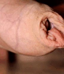 Hoodies 5e256e736f6fe.gif