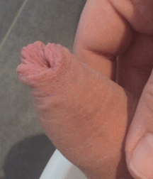 Hoodies 5e256ef179a7d.gif