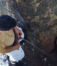 Boys peeing 5c1ec51f1d036.jpg