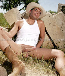 Cowboy boots 5c283e2fbadb8.jpg
