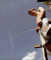 Pee boys 5c29419d8564c.jpg