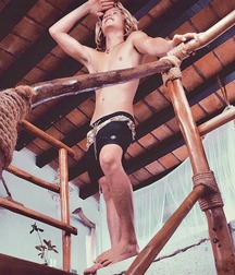 Longhair Boys 5c2bbfd92bba3.jpg