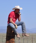 Cowboys 5c37c7f7e4957.jpg