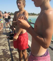 Barefoot boys 5c3b0f8b4a2e9.jpg