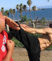 Fighter boys 5c3f80c88e6e6.jpg