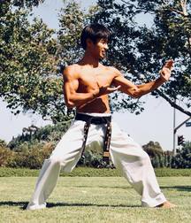 Fighter boys 5c3f80cebb3a4.jpg