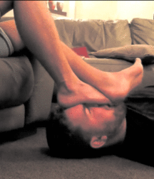 Sniff and lick 5c423b5c0df15.gif