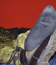 Sox all color 5c546eccb6c4b.jpg