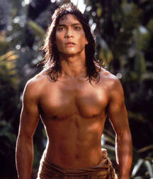 Longhairs 2 5c561206aae5d.jpg