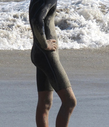 Surfer and Divers 5c5629ab78466.jpg