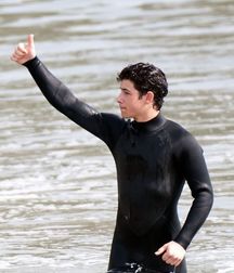 Surfer and Divers 5c5629bbcb404.jpg