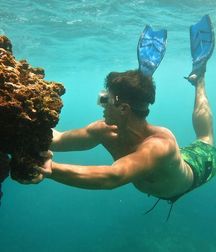 Surfer and Divers 5c5629e556fa1.jpg