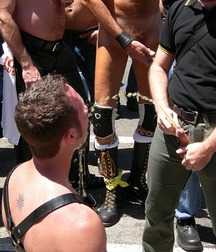 Pee boys 5 5c653e28638dd.jpg