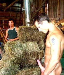 Country boys 5c6598730da4e.jpg