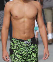 Beach boys 5c6c9529e91e6.png