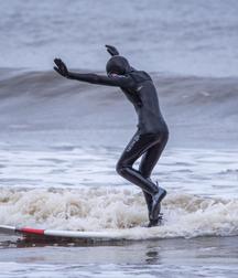 Surf and dive 5c898ee8d6aa9.jpg