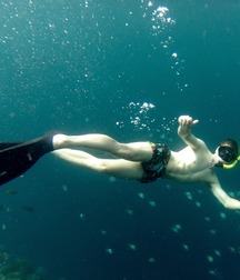 Surf and dive 5c898f072e7ff.jpg