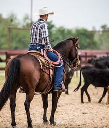 Cowboy boots 2 5c8cc0afa9210.jpg