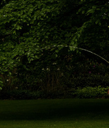 Yellow rain 2 5c8d736a9704d.jpg