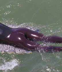 Dive and surf 2 5c9a654529a2c.jpg