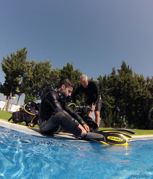 Surfers and divers 5c9e5d2b796c5.jpg