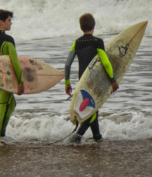 Surfers and divers 5c9e5d39de297.jpg
