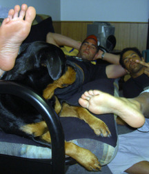 Lick the sweaty toes 5c9fc479884ad.jpg