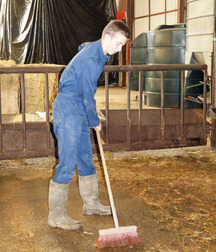 Farmboys in rubber boots 5ca0fb45b8da4.jpg