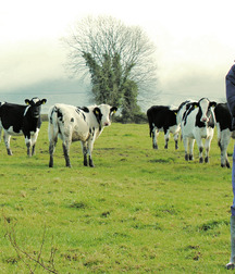Farmboys in rubber boots 5ca0fb532423e.jpg