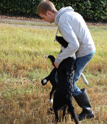 Farmboys in rubber boots 5ca0fb5a384d7.jpg