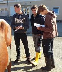 Boys in rubber boots 5ca7ce69b995c.jpg