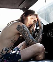 Wild horses 5cafa82e7d4a7.jpg