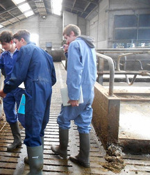 Guys in rubber boots 2 5cbb964ce8c65.jpg