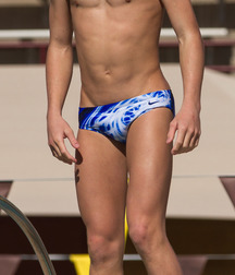 Speedo and beach boys 2 5cbbb2c6d87d0.jpg