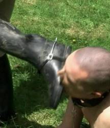 Ponies and riders 5cc37eee510dc.jpg
