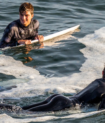 Beach and surfer boys 5ccb5552a965b.jpg