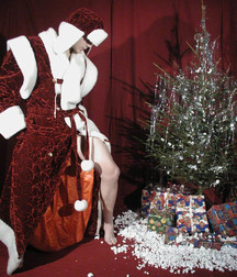 Cody at Christmas 5d01ebcbe8409.jpg