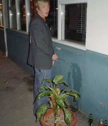 Taking a leak 2 5d01ef91cb775.jpg