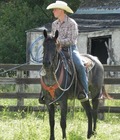 Cowboy boots 5 5d0a42544ae4c.jpg