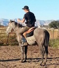 Country boys 5 5d239599a3c9f.jpg