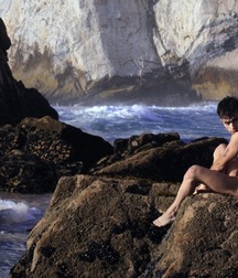 Beachboys 4 5d6547e271c34.jpg