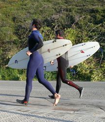 Surfer and divers 3 5d6c150e10332.jpg