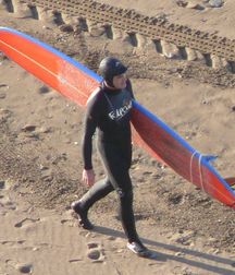 Surfer and divers 3 5d6c150fcf26c.jpg
