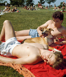 Boy beauties in shorts 5d9ca3579a129.jpg