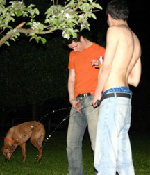 Teen's liquid gold 5db5efd01b001.jpg