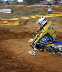 Riding bikes and horses 5f8f18c64d2a0.jpg
