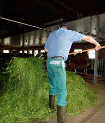 Farmboys in rubber boots 5f8f63e7845fa.jpg